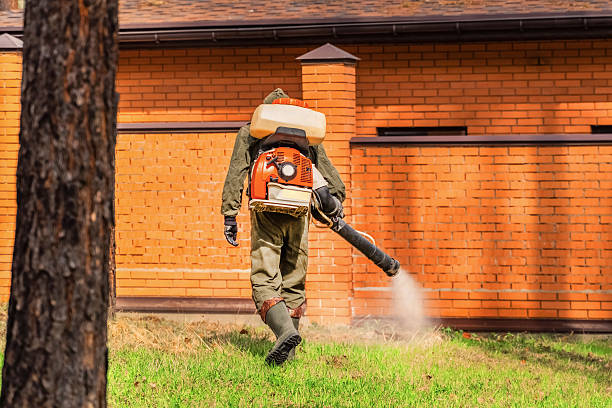Trusted Fumigation Services service in Pagosa Springs, CO - Nex Pest Control